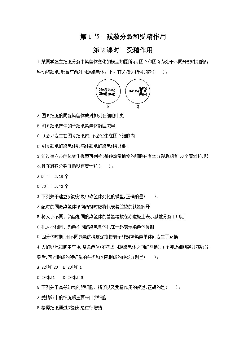 高中生物 （人教版2019）必修2 同步分层训练  2.1 减数分裂和受精作用（第2课时 受精作用）  Word版含解析01