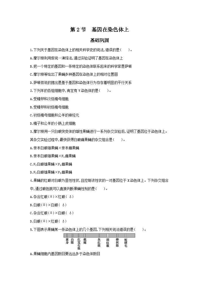 高中生物 （人教版2019） 人教版2019必修2 同步分层训练  2.2 基因在染色体上  Word版无答案 第1页