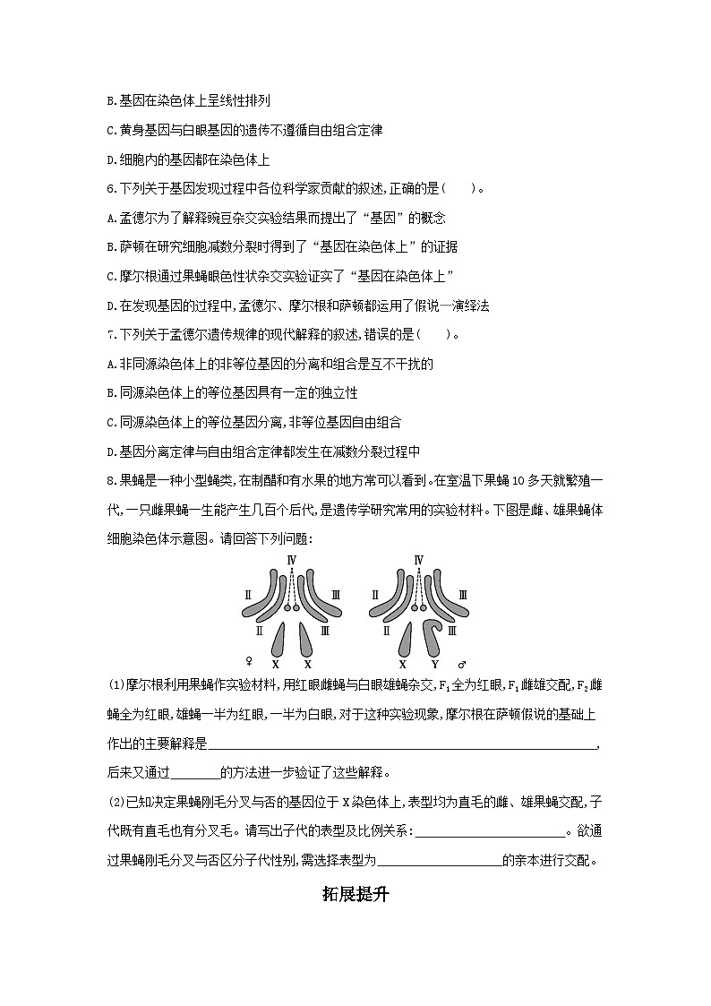 高中生物 （人教版2019） 人教版2019必修2 同步分层训练  2.2 基因在染色体上  Word版无答案 第2页