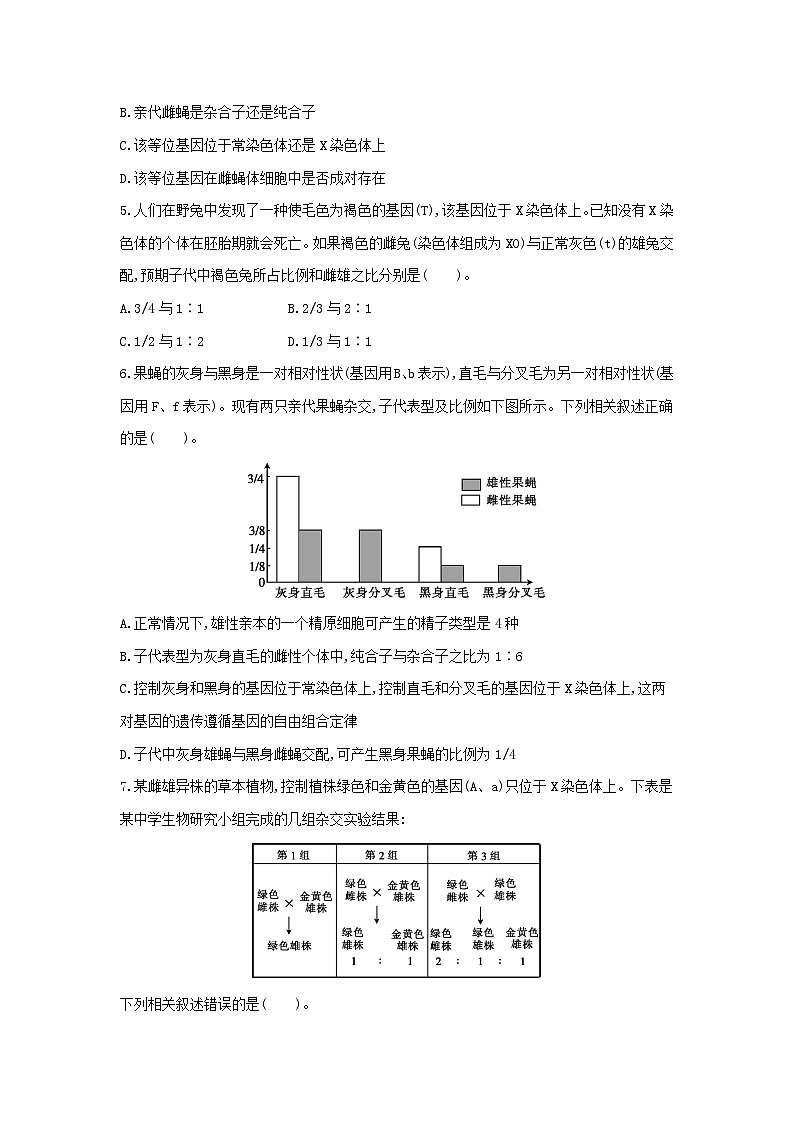 高中生物 （人教版2019） 必修2 同步分层训练  2.3 伴性遗传（第2课时 强化课）  Word版无答案 第2页
