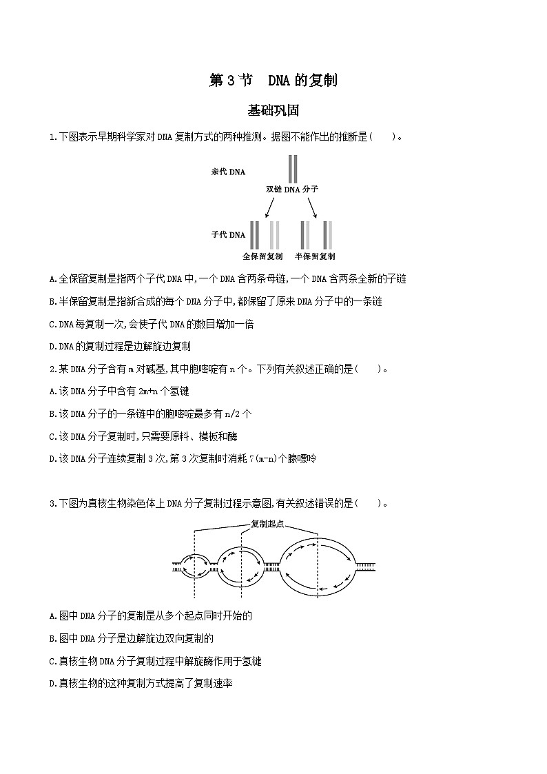 高中生物 （人教版2019）必修2 同步分层训练  3.3 DNA的复制  Word版无答案 第1页