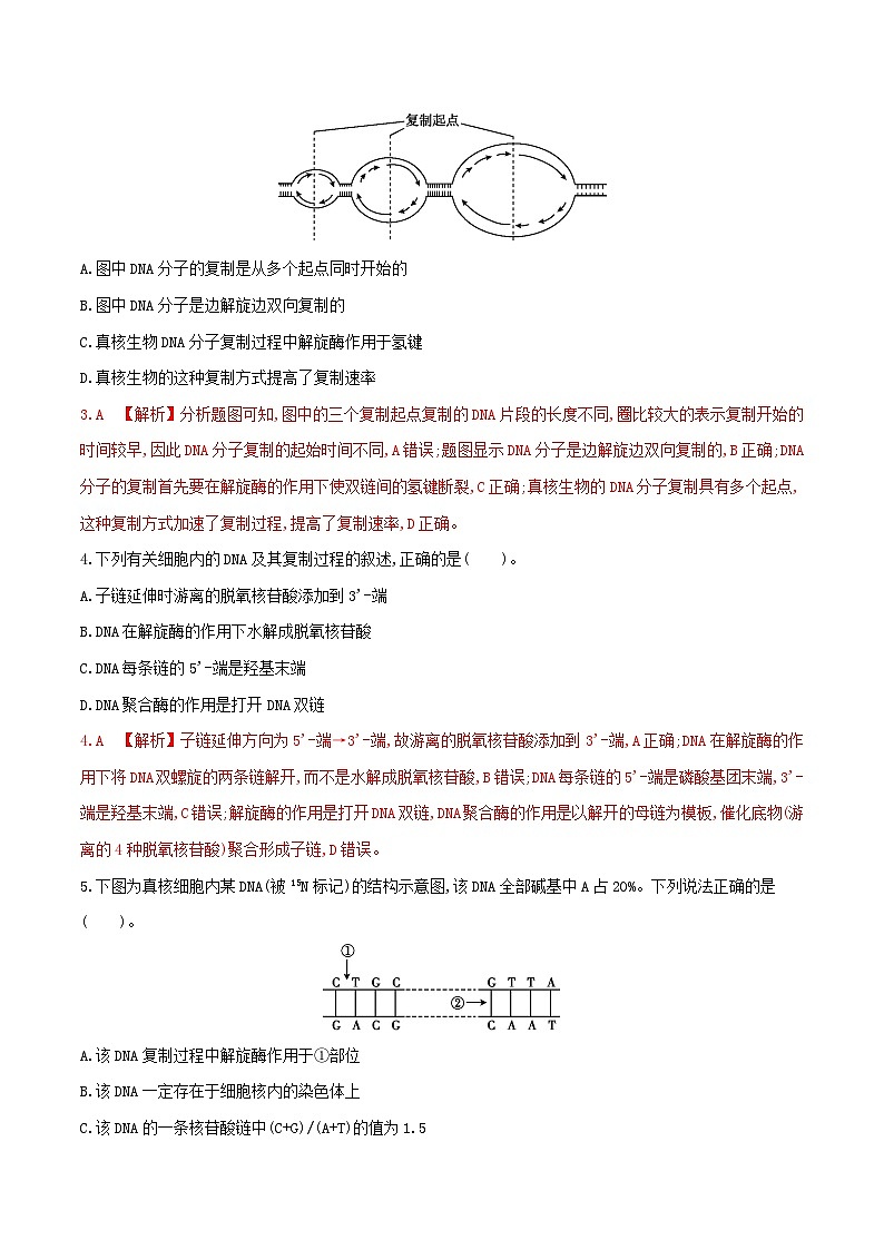 高中生物 （人教版2019）必修2 同步分层训练  3.3 DNA的复制  Word版含解析第2页