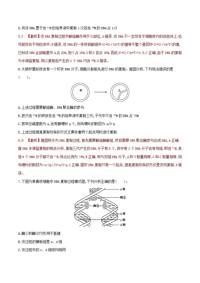 高中生物 （人教版2019）必修2 同步分层训练  3.3 DNA的复制  Word版含解析第3页