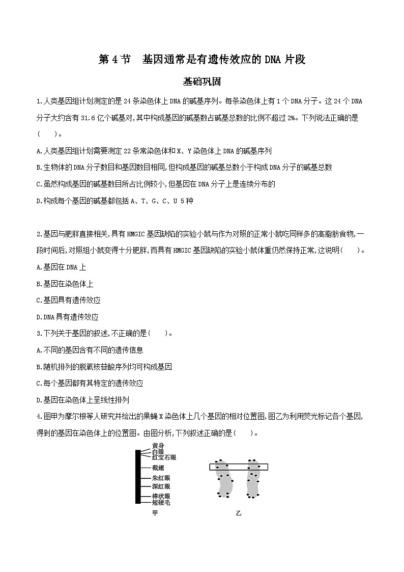 高中生物 （人教版2019）必修2 同步分层训练  3.4 基因通常是有遗传效应的DNA片段 （ Word版含解析）01