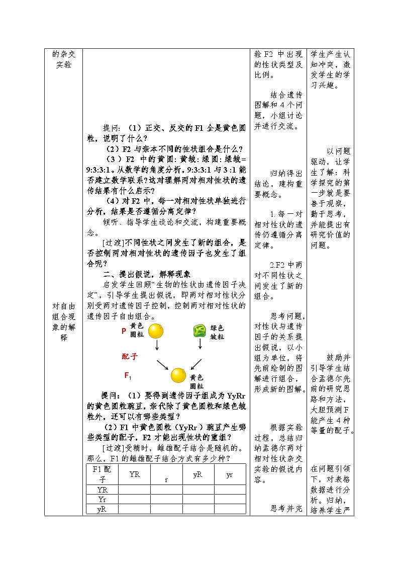 高中生物 （人教版2019）必修2 1.2孟德尔的豌豆杂交实验（二）教案（表格式）第3页