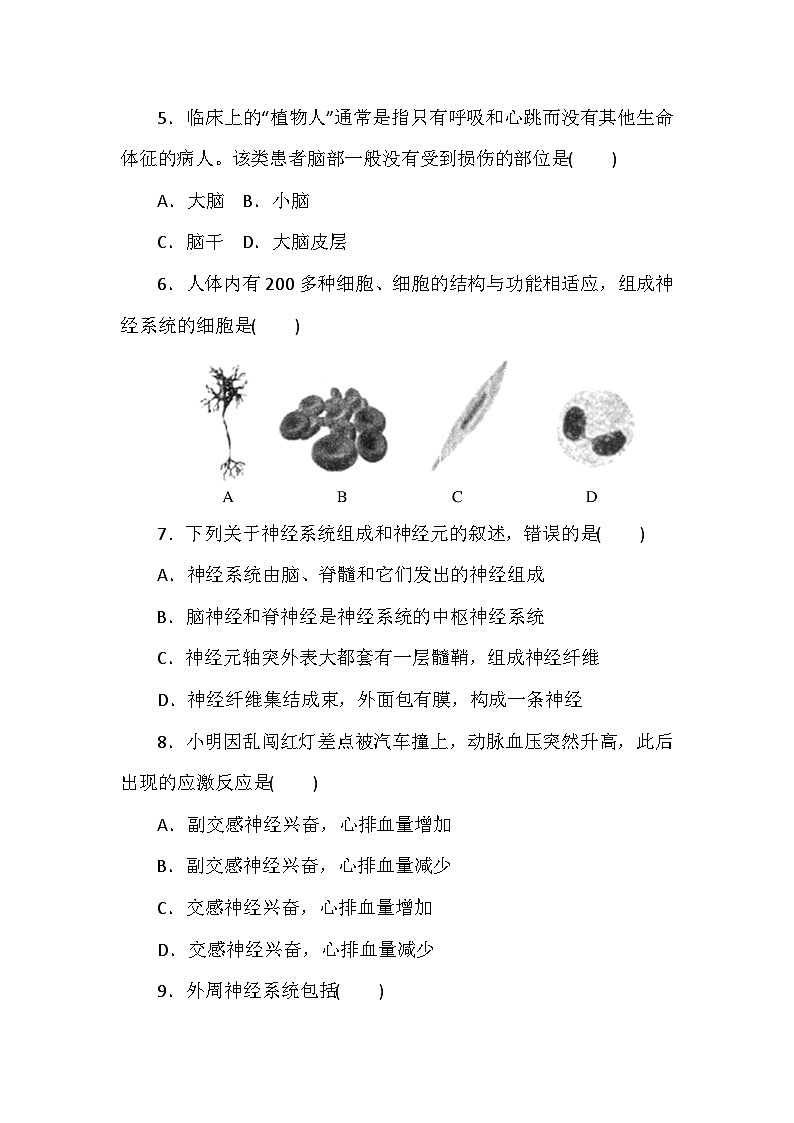 高中生物（人教版2019） 选择性必修1 2.1《神经调节的结构基础》同步课时练习-（含答案）02