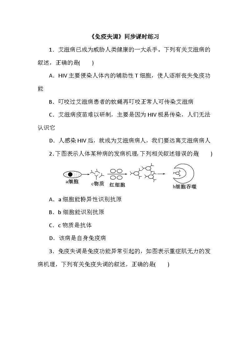 高中生物（人教版2019） 选择性必修1 4.3《免疫失调》同步课时练习-（含答案）01