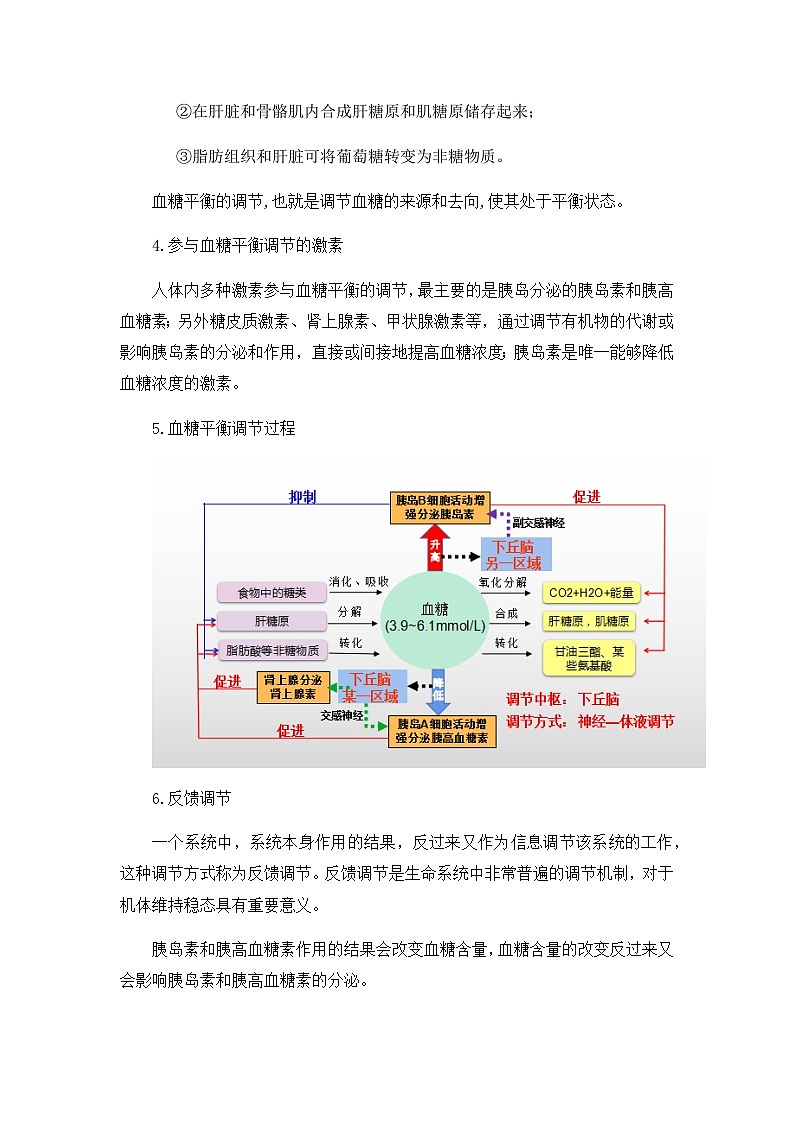 高中生物 （人教版2019）选择性必修一  3.2 激素调节的过程 教案03