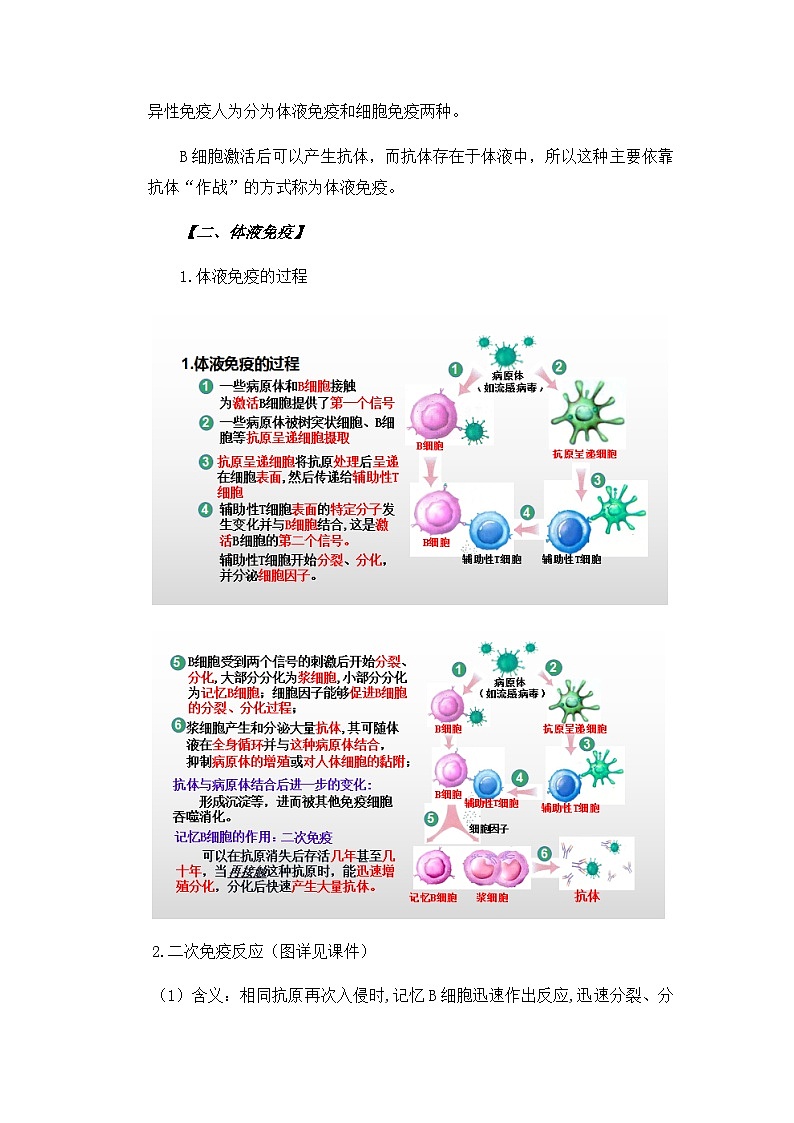 高中生物 （人教版2019）选择性必修一  4.2 特异性免疫 教案第3页