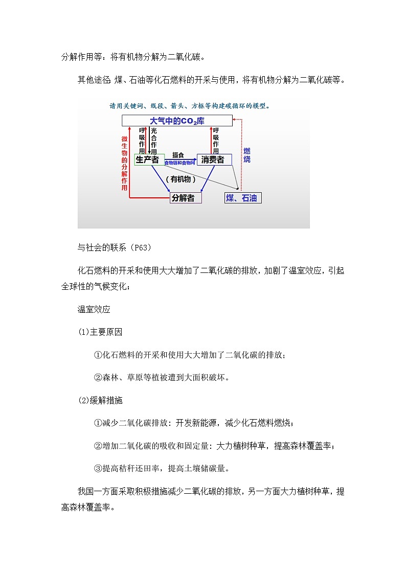 高中生物（人教版2019）选择性必修二 3.3 生态系统的物质循环 教案03