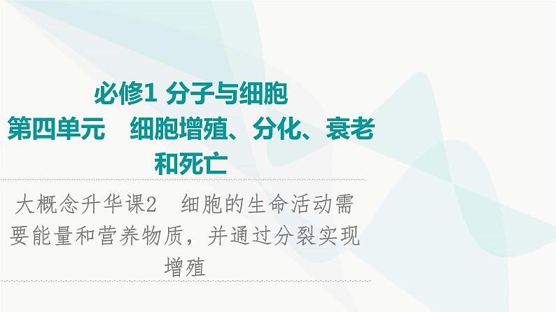 2024届苏教版高考生物一轮复习大概念升华课2细胞的生命活动需要能量和营养物质，并通过分裂实现增殖课件01