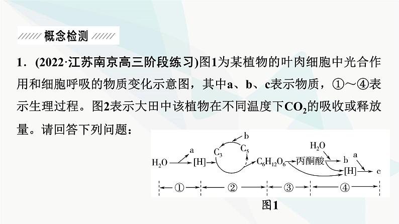 2024届苏教版高考生物一轮复习大概念升华课2细胞的生命活动需要能量和营养物质，并通过分裂实现增殖课件05