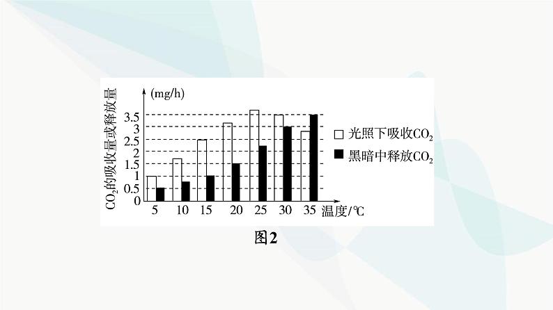 2024届苏教版高考生物一轮复习大概念升华课2细胞的生命活动需要能量和营养物质，并通过分裂实现增殖课件06