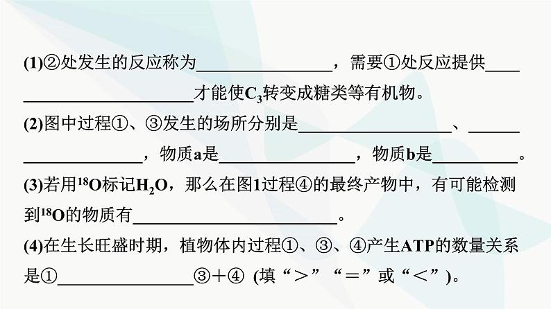 2024届苏教版高考生物一轮复习大概念升华课2细胞的生命活动需要能量和营养物质，并通过分裂实现增殖课件07