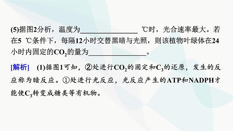 2024届苏教版高考生物一轮复习大概念升华课2细胞的生命活动需要能量和营养物质，并通过分裂实现增殖课件08