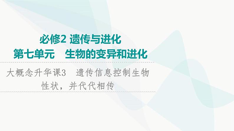 2024届苏教版高考生物一轮复习大概念升华课3遗传信息控制生物性状，并代代相传课件第1页