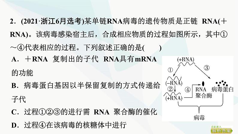 2024届苏教版高考生物一轮复习大概念升华课3遗传信息控制生物性状，并代代相传课件第7页