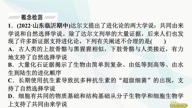 2024届苏教版高考生物一轮复习大概念升华课4生物的多样性和适应性是进化的结果课件05