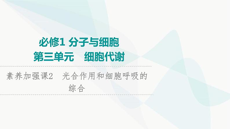 2024届苏教版高考生物一轮复习素养加强课2光合作用和细胞呼吸的综合课件01