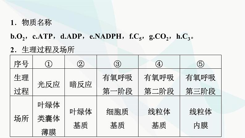 2024届苏教版高考生物一轮复习素养加强课2光合作用和细胞呼吸的综合课件04