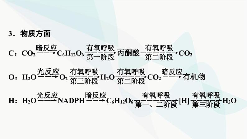 2024届苏教版高考生物一轮复习素养加强课2光合作用和细胞呼吸的综合课件05