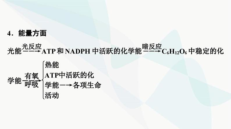 2024届苏教版高考生物一轮复习素养加强课2光合作用和细胞呼吸的综合课件06