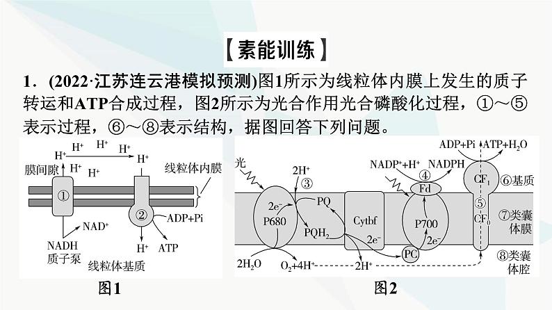 2024届苏教版高考生物一轮复习素养加强课2光合作用和细胞呼吸的综合课件07