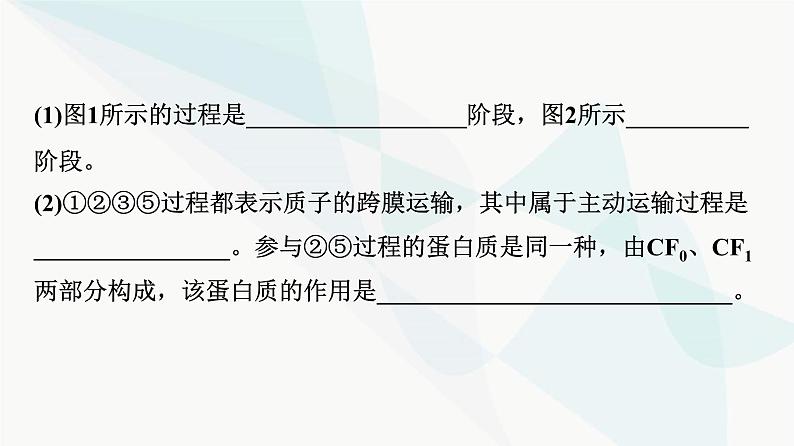 2024届苏教版高考生物一轮复习素养加强课2光合作用和细胞呼吸的综合课件08