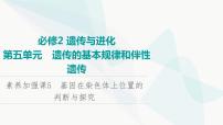 2024届苏教版高考生物一轮复习素养加强课5基因在染色体上位置的判断与探究课件