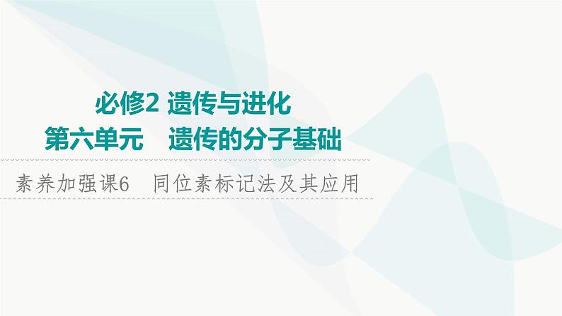 2024届苏教版高考生物一轮复习素养加强课6同位素标记法及其应用课件第1页