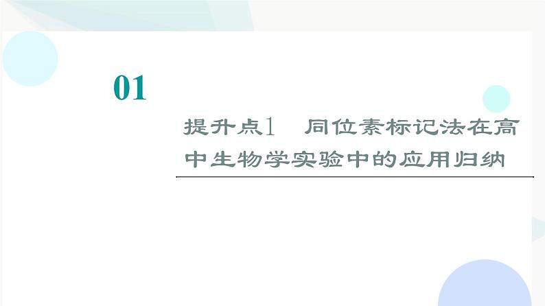 2024届苏教版高考生物一轮复习素养加强课6同位素标记法及其应用课件第2页