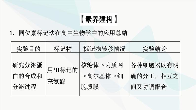 2024届苏教版高考生物一轮复习素养加强课6同位素标记法及其应用课件第3页