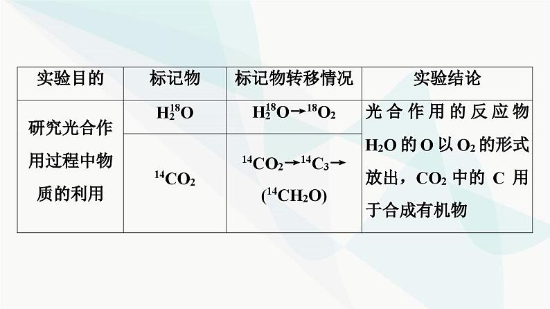 2024届苏教版高考生物一轮复习素养加强课6同位素标记法及其应用课件第4页