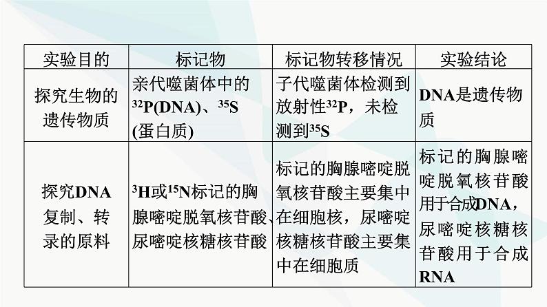 2024届苏教版高考生物一轮复习素养加强课6同位素标记法及其应用课件第5页