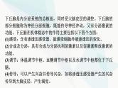 2024届苏教版高考生物一轮复习素养加强课9动物生命活动调节模型的建构与分析课件