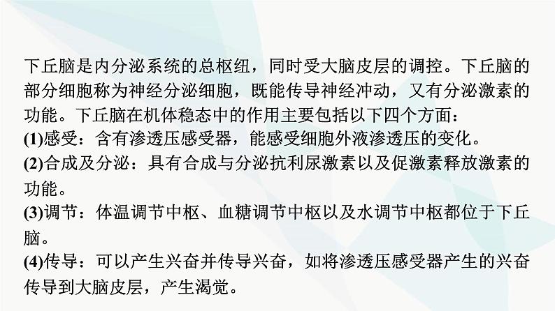 2024届苏教版高考生物一轮复习素养加强课9动物生命活动调节模型的建构与分析课件04