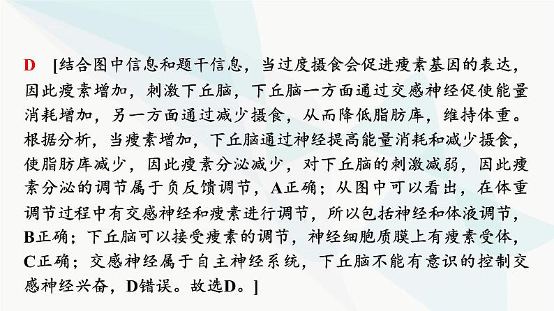 2024届苏教版高考生物一轮复习素养加强课9动物生命活动调节模型的建构与分析课件06