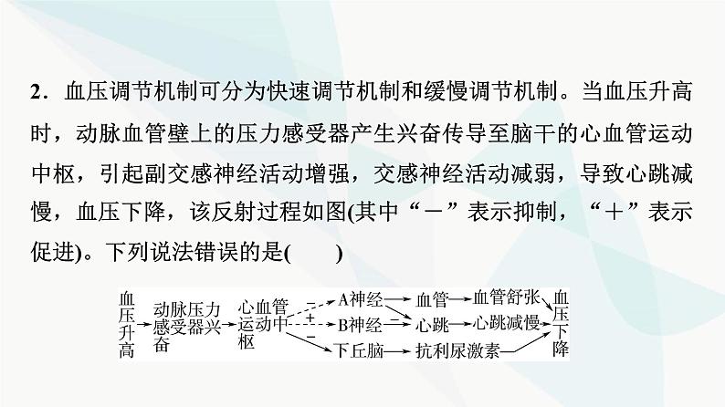 2024届苏教版高考生物一轮复习素养加强课9动物生命活动调节模型的建构与分析课件07