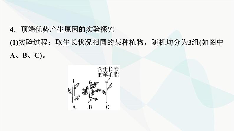 2024届苏教版高考生物一轮复习素养加强课10植物激素调节相关实验设计课件第6页