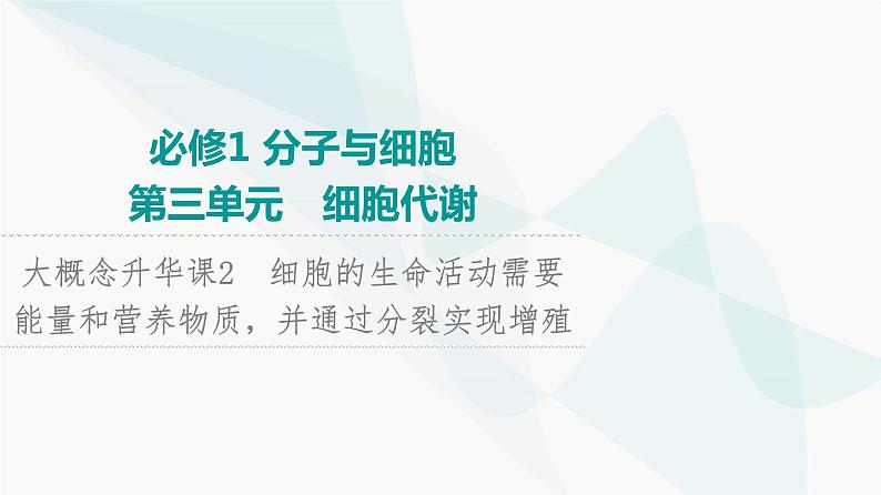 2024届人教版高考生物一轮复习大概念升华课2细胞的生命活动需要能量和营养物质，并通过分裂实现增殖课件01