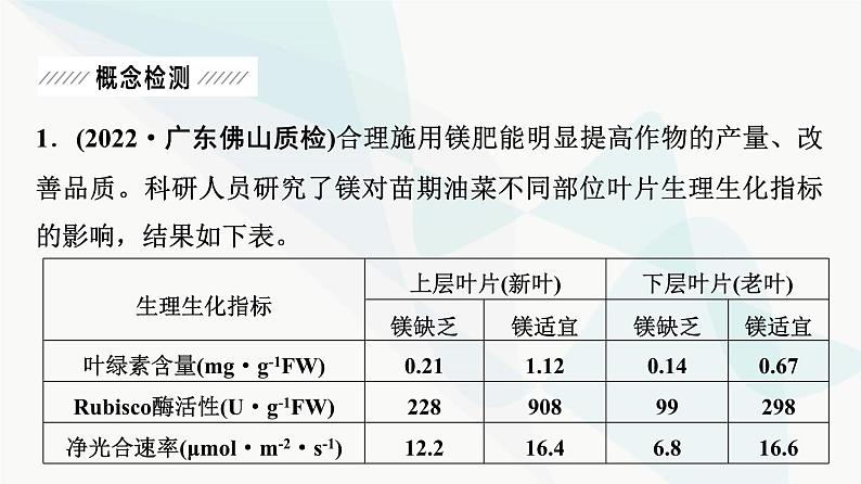 2024届人教版高考生物一轮复习大概念升华课2细胞的生命活动需要能量和营养物质，并通过分裂实现增殖课件05