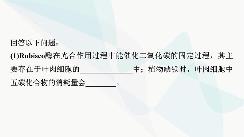 2024届人教版高考生物一轮复习大概念升华课2细胞的生命活动需要能量和营养物质，并通过分裂实现增殖课件06