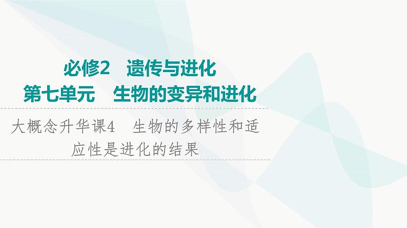 2024届人教版高考生物一轮复习大概念升华课4生物的多样性和适应性是进化的结果课件01