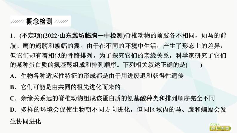 2024届人教版高考生物一轮复习大概念升华课4生物的多样性和适应性是进化的结果课件05