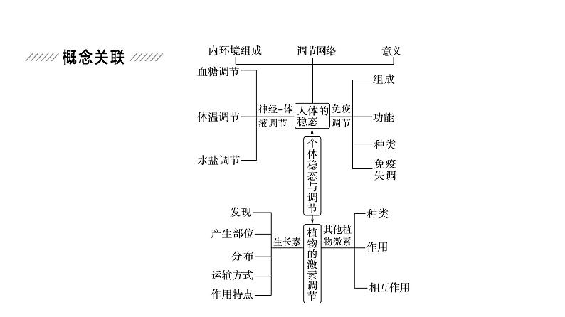 2024届人教版高考生物一轮复习大概念升华课5生命个体的结构与功能相适应，各结构协调统一共同完成复杂的生命活动，并通过一定的调节机制保持稳态课件第2页