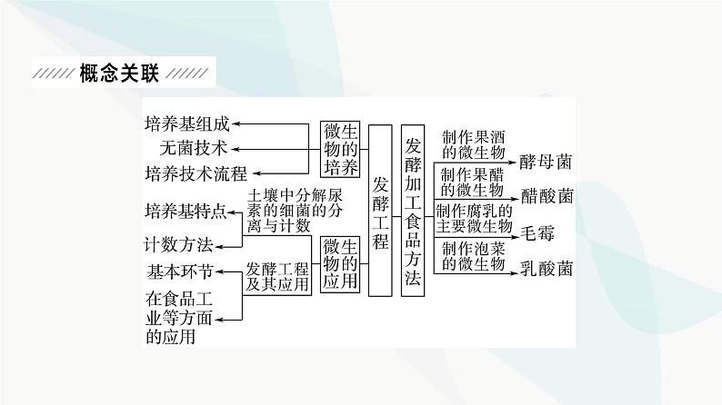 2024届人教版高考生物一轮复习大概念升华课7发酵工程利用微生物的特定功能规模化生产对人类有用的产品课件第2页