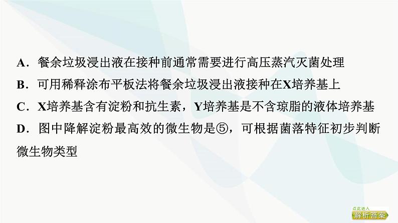 2024届人教版高考生物一轮复习大概念升华课7发酵工程利用微生物的特定功能规模化生产对人类有用的产品课件第7页