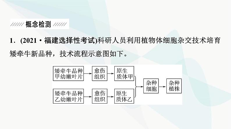 2024届人教版高考生物一轮复习大概念升华课8细胞工程通过细胞水平上的操作，获得有用的生物体或其产品课件第4页