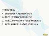 2024届人教版高考生物一轮复习大概念升华课8细胞工程通过细胞水平上的操作，获得有用的生物体或其产品课件