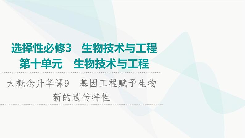 2024届人教版高考生物一轮复习大概念升华课9基因工程赋予生物新的遗传特性课件第1页